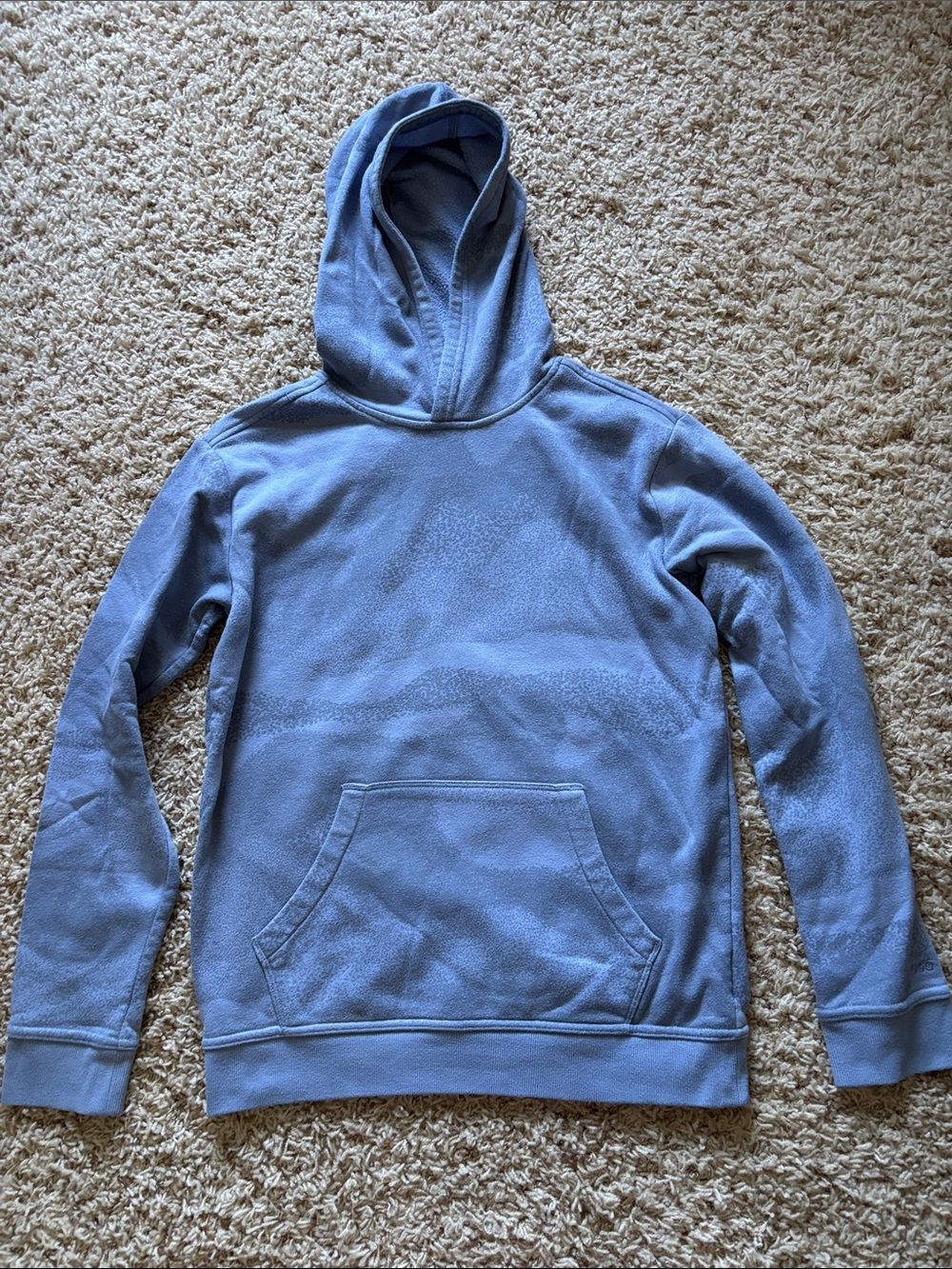 DSG Light Blue Boys Hooded Pullover Sweatshirt